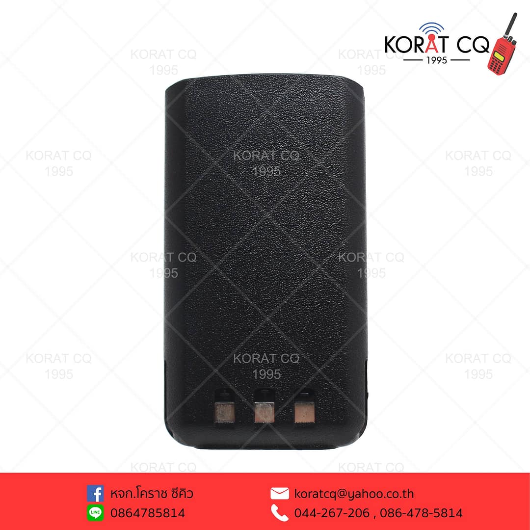Icom D11 2